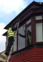 Diamond Window Cleaning - exterior window cleaning